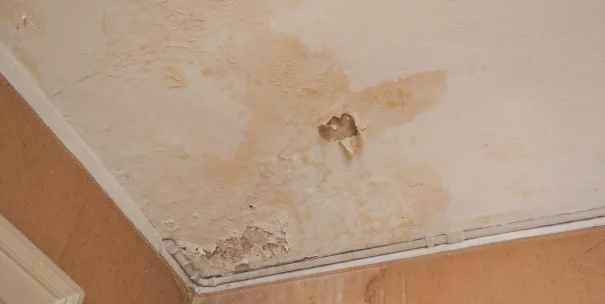 ¿Humedades en casa? ¿Condensación o filtración?